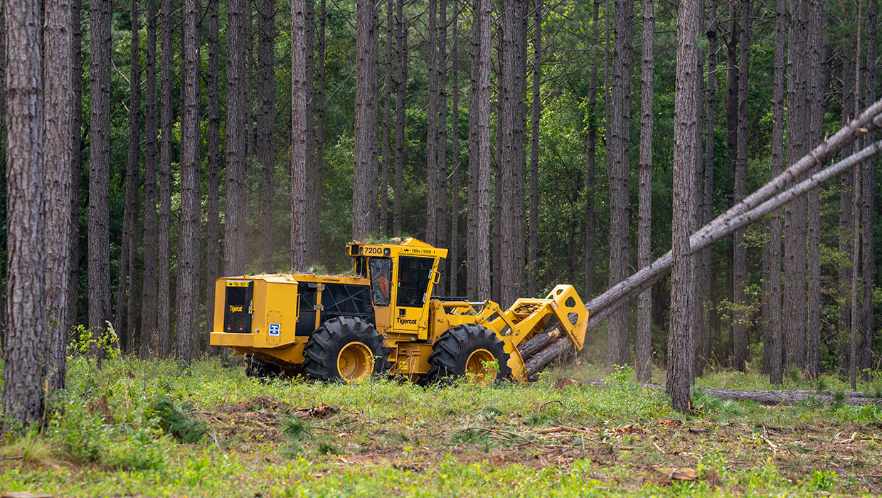 Image of a Tigercat 720G wheel feller buncher working in the field.