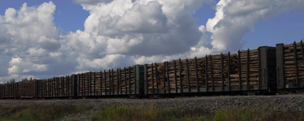 Train à piles Wood City pour voie ferrée en bois, Rwanda