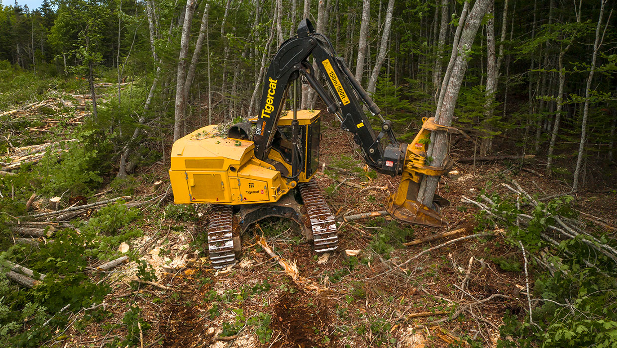 E Feller Buncher Limited Tail Swing Tigercat Forest Machines