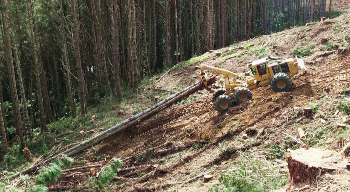 Steep Slope Logging | Cable Assist Logging | Tethered Logging | Tigercat