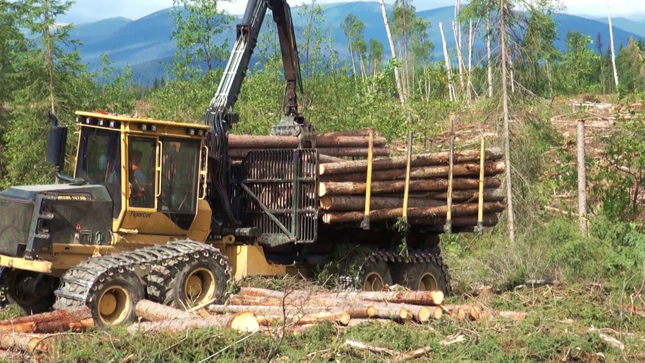 Tigercat 1075B Forwarder | Tigercat