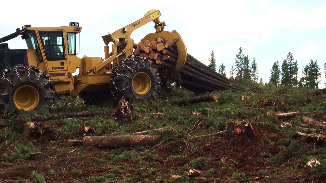 Logging track. Скиддер Тайгеркэт 630. Скиддер Caterpillar 525c. Трелевочный трактор Тигеркат. Tigercat 630c.