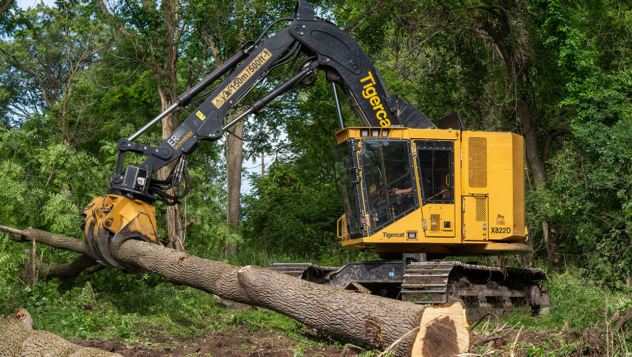 Tigercat X822E in hardwood forest