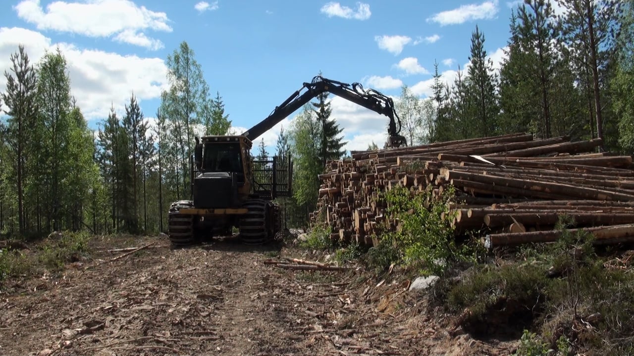 B And B Forwarders In Sweden Tigercat