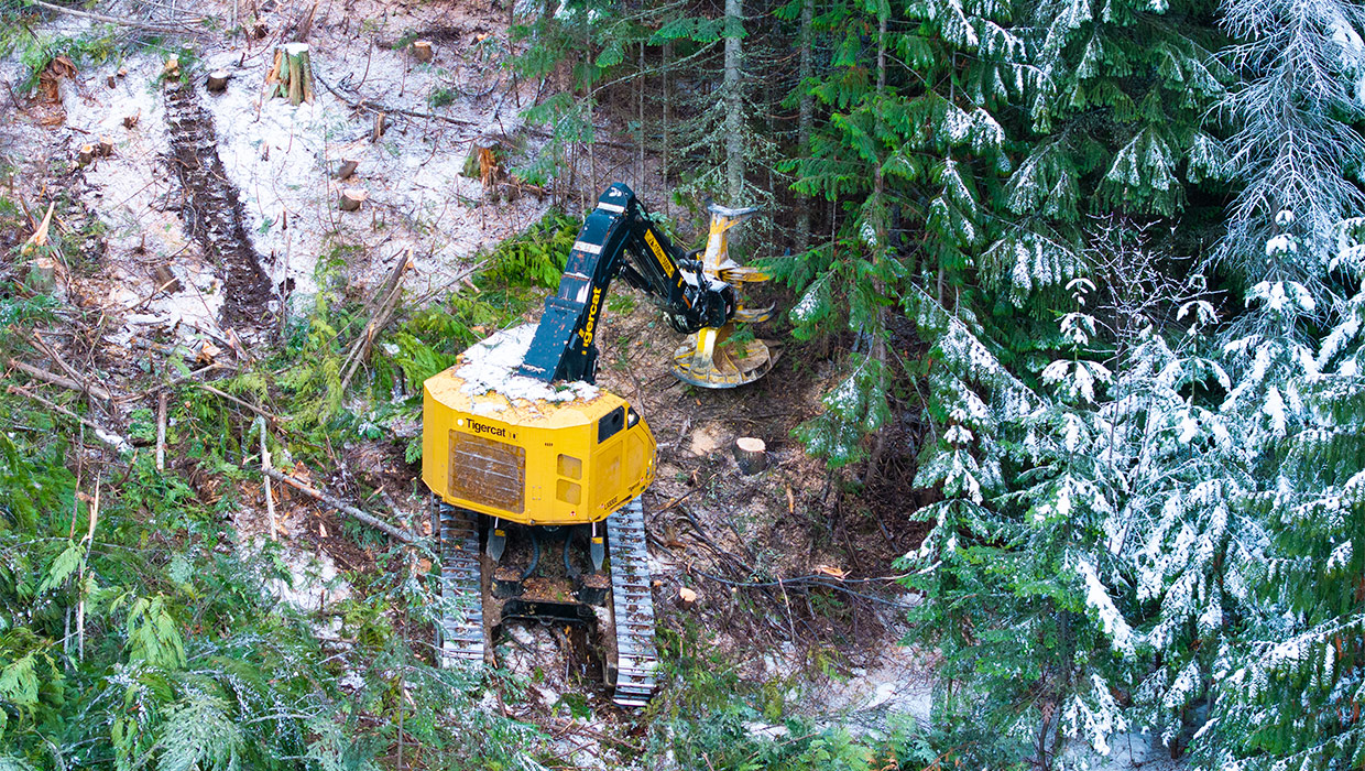 Image of a Tigercat LX830E working in the field