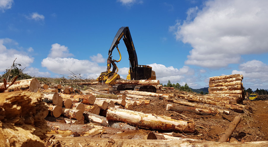 H855E Harvester | Roadside Processing & In-Stand Harvesting | Tigercat