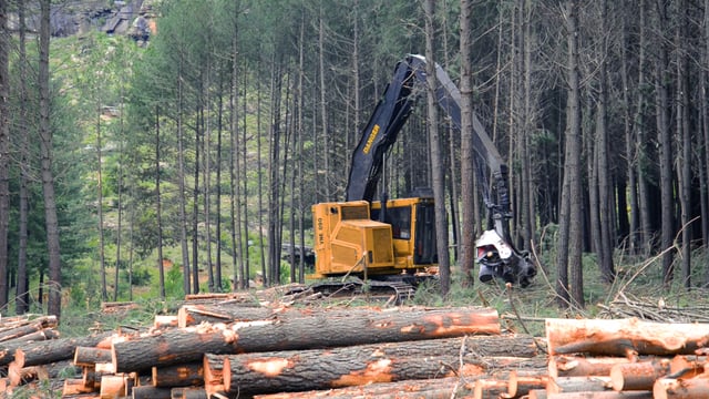 Vidéo de PG Bison : transporteur 1075B et abatteuse-façonneuse H822C