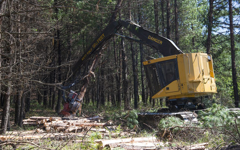 Machine Longevity - Running Tigercat machines to high hours