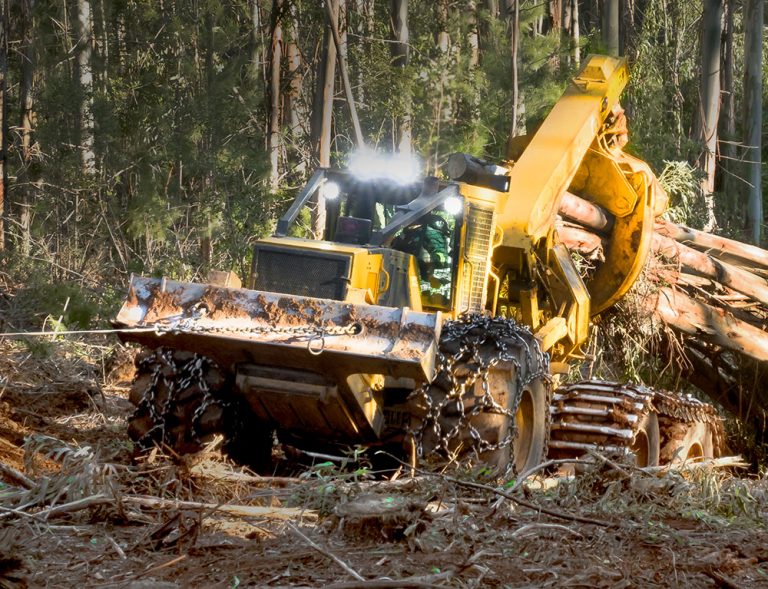 Steep Slope Logging | Cable Assist Logging | Tethered Logging | Tigercat