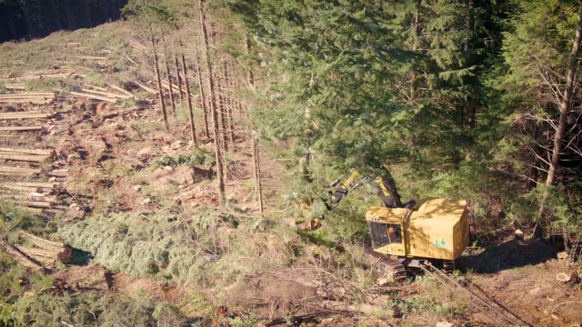 LX870D in Action | Cable Assist Logging Videos | Tigercat TV