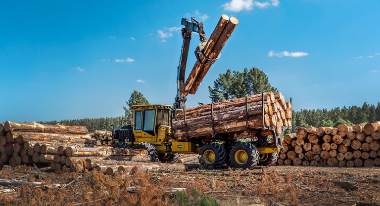 Women in Logging | Fennell Forestry | Tigercat