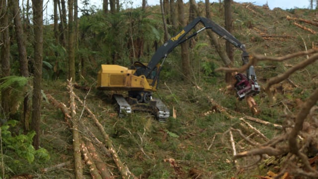 Mini-doc: Steve Yeoman, Volcanic Plateau Logging | Tigercat TV