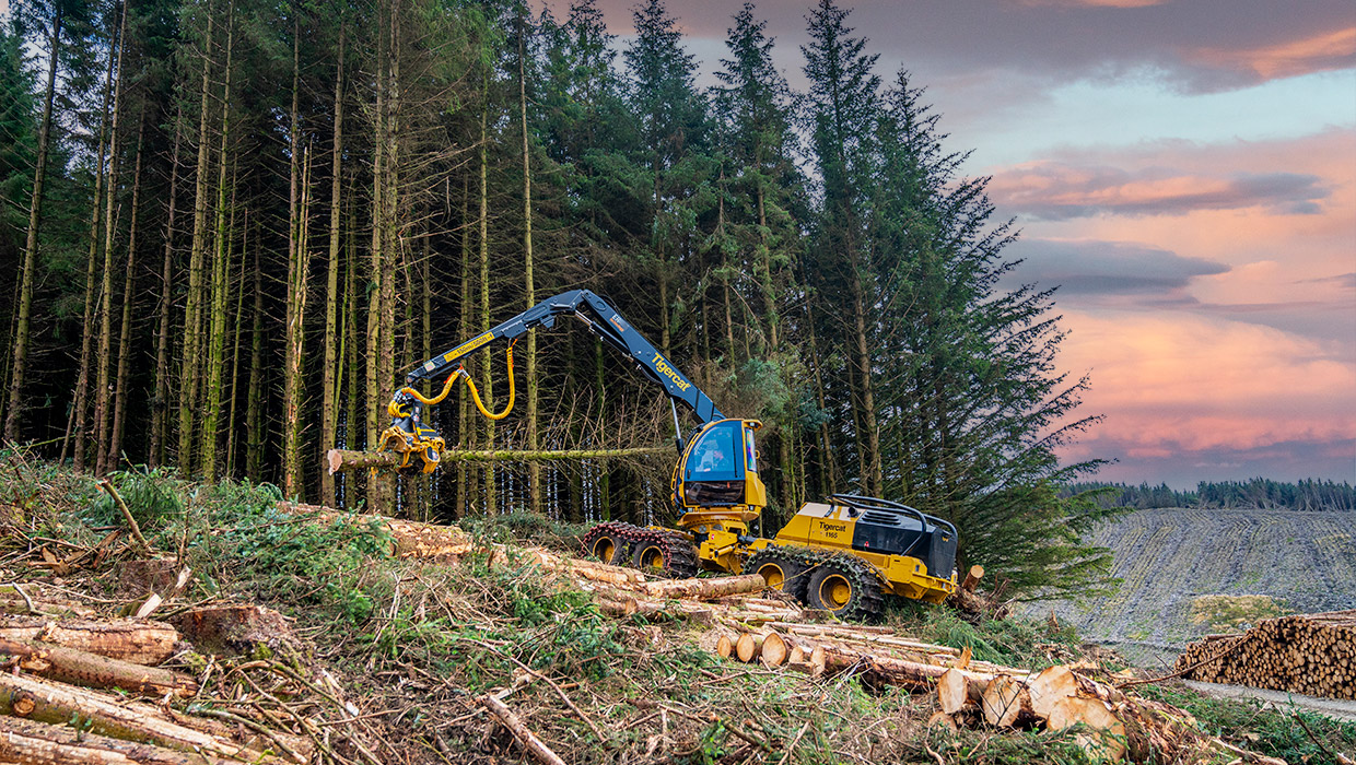 Image of an 1165 harvester working in the field