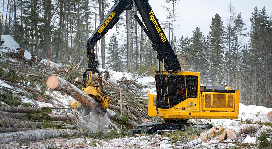 Logging Processor Roadside Tree Processing Tigercat