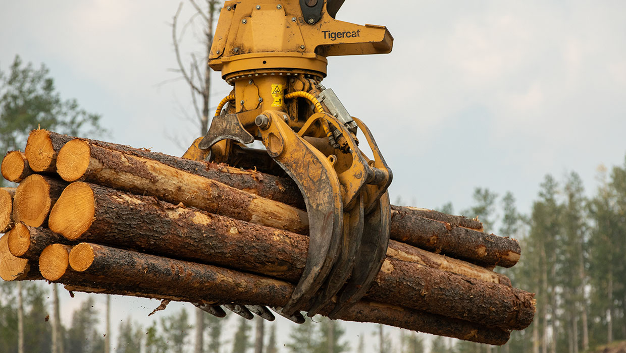 SC08 with a load of logs