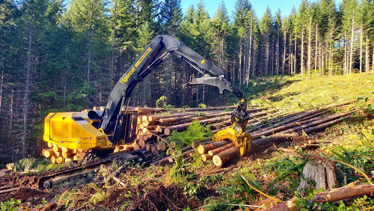 A Tigercat LS857 shovel logger working in the field