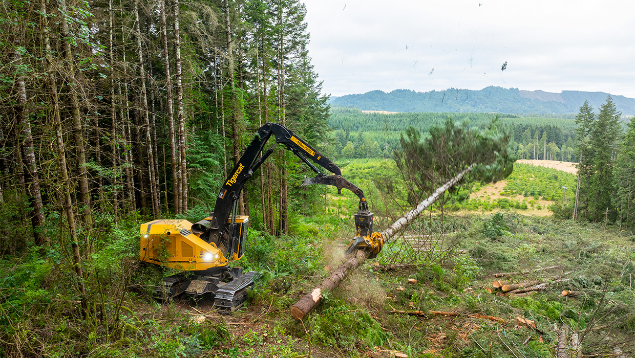 A Tigercat LS857 shovel logger working in the field