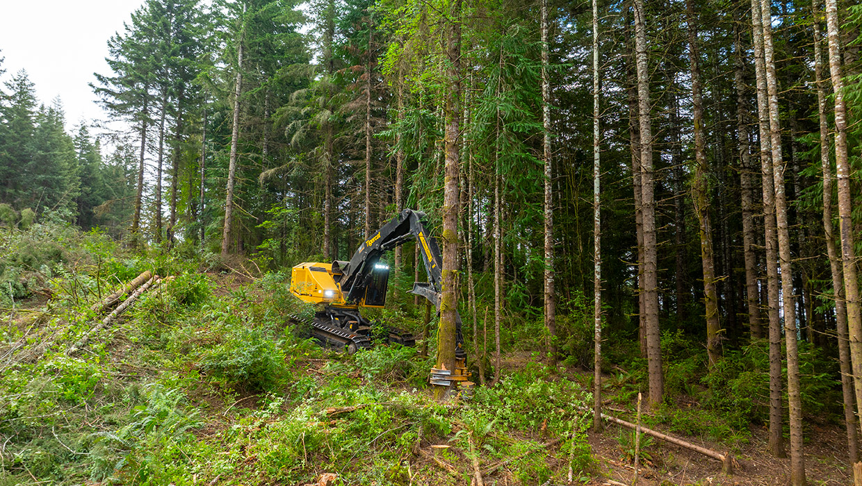 Image of a Tigercat LS857 shovel logger working in the field