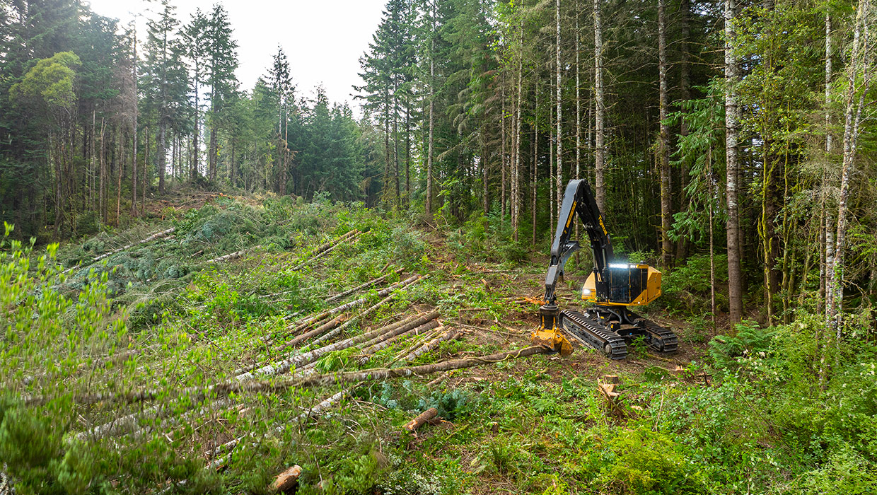 A Tigercat LS857 shovel logger working in the field