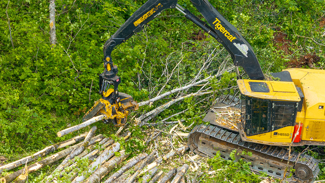 Image of a Tigercat 544 harvesting head processing timber