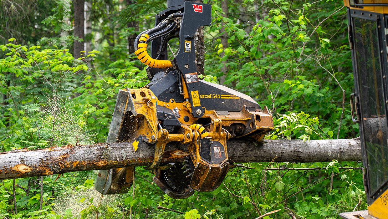 Image of a Tigercat 544 harvesting head processing timber