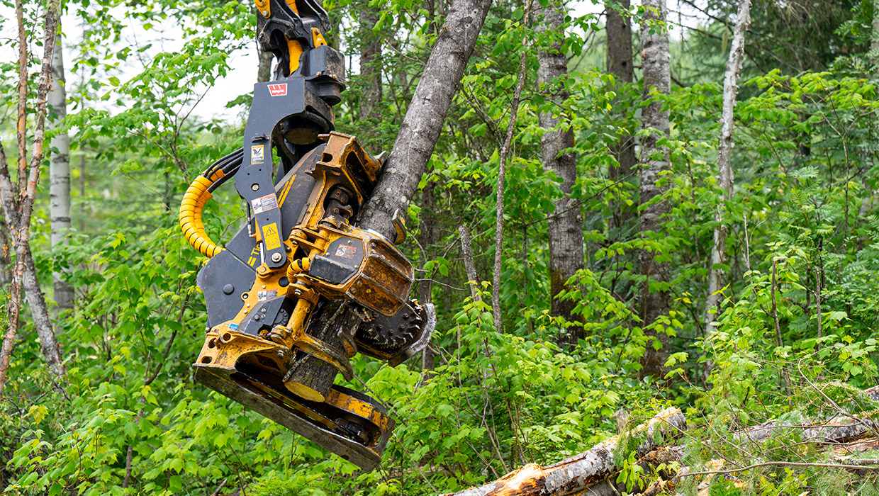 Image of a Tigercat 544 harvesting head processing timber