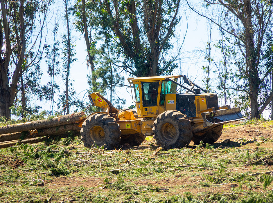 Tigercat 604 cable skidder