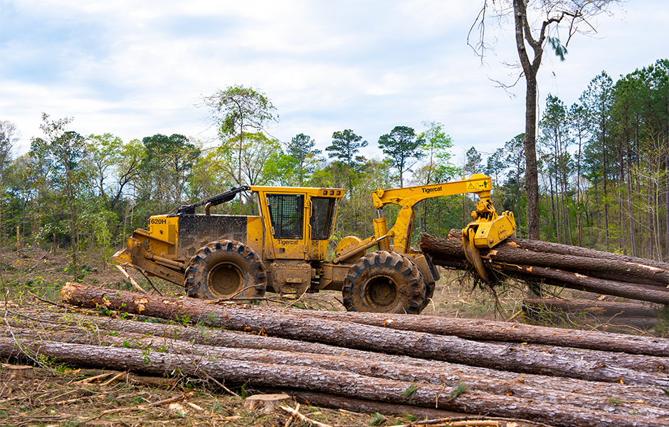 Le débardeur 620H sur un site d’exploitation près de Greensburg en Louisiane.