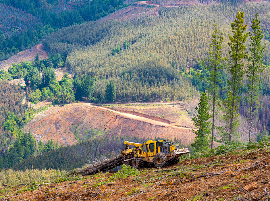 Tigercat bogie skidder on hillside