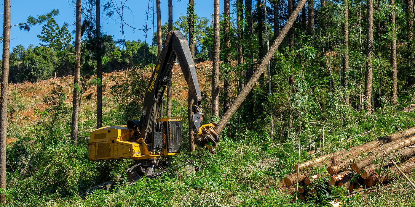 La machine LS855E abattant un pin de Hoop