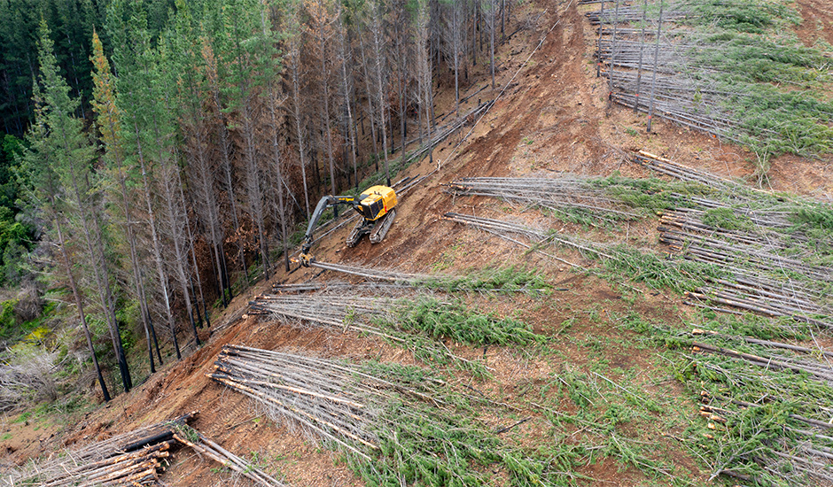 Tigercat shovel logger on hillside