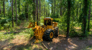 Image of a Tigercat 720G feller buncher working in the field